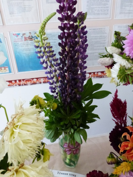 Школьная выставка цветочных композиций «Фейерверк красок».