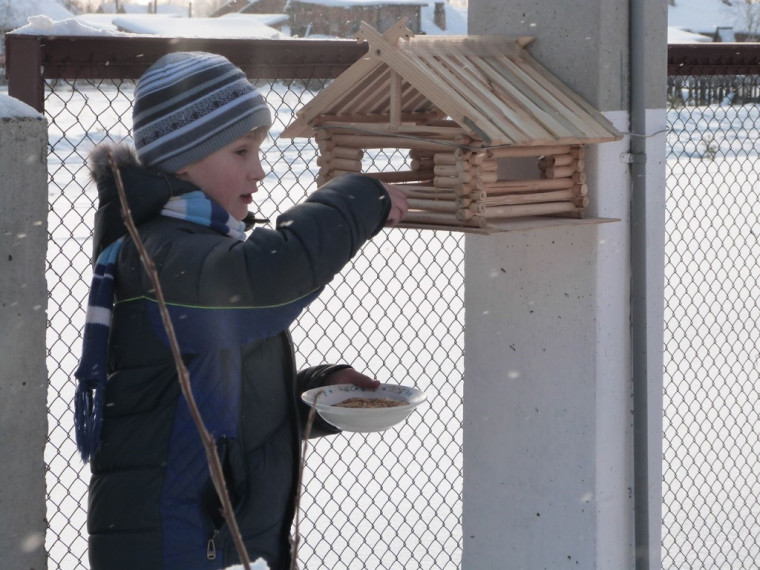 Школьная экологическая акция «Покормите птиц зимой».